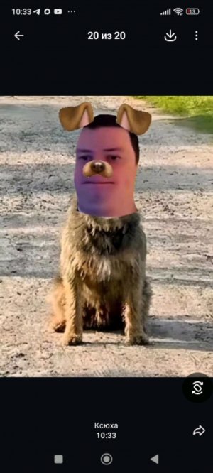 шабака Бурмалдака