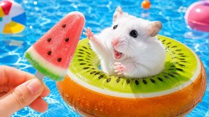 Хомяк сбегает из лабиринта с мини-бассейном — лабиринт для хомяка!