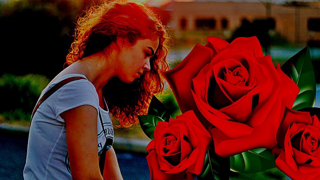 🌹Три Розы 😢 Песня ЗА ДУШУ БЕРЁТ! Вы Только Послушайте! смотреть онлайн