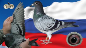 9 гонка. 532км. Московский регион. Старт 5 июля 2026 года.