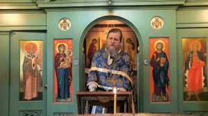 Рождество Предтечи и Крестителя Господня Иоанна. Антипово. 07.07.2026
