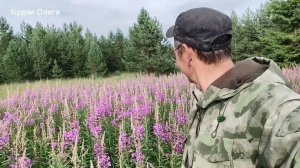 Поход в лес. Поляна  ИванЧай. Набрал березовых веток, для веника в баню. 06.07.26