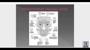 Проработка микродвижений