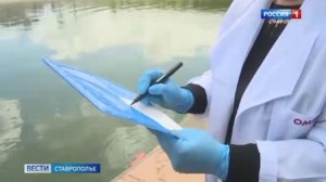 В Комсомольском пруду Ставрополя проверяют качество воды