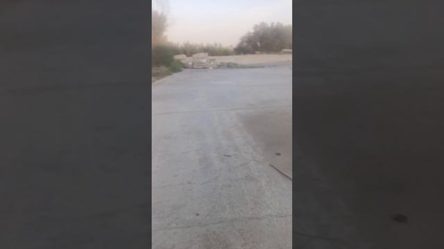 1000250230.mp4