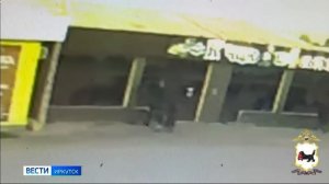 Конь разгромил витрины магазина в Эхирит-Булагатскои районе