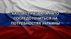 Каллас призвала НАТО сосредоточиться на потребностях Украины