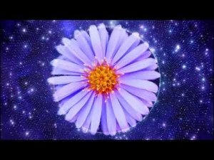 Коля Веремко # Чудо-юдо Изловлю # Вера и Геннадий Ковтун.