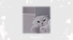 Музыка для флешмоба 2021 ( Тренды Tik Tok  )