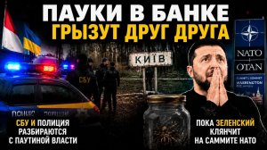 Киллершу из Монако нашли с дыркой в голове под Киевом: исполнительницу убрали свои же.