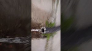 загоняю велик и самокат
