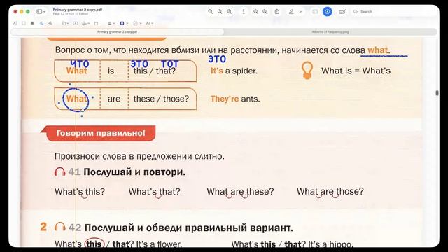 this that these those (вопросы)