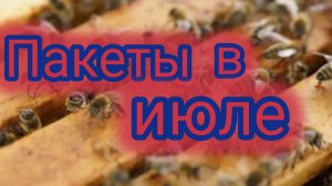 Пакеты в июле 🐝