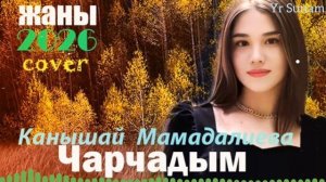 Жаны ыр Чарчадым Канышай Мамадалиева Кавер 2026