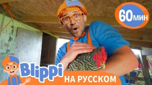 Песенка Про Ферму _ Обучающие песни для детей _ Blippi Russian