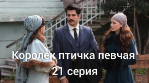 🪶 Королек птичка певчая | 21 серия | хорошее качество 🪶