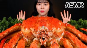 Мукбанг - сырые морепродукты и осьминог и сырные закуски