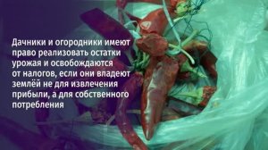 Излишки собственного урожая можно продавать свободно, не переживая об уплате НДФЛ