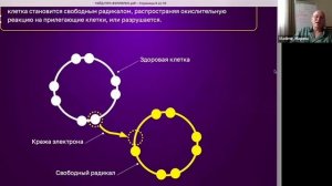 Клетка становится свободным радикалом, распространяя окислительную реакцию на прилегающие клетки или