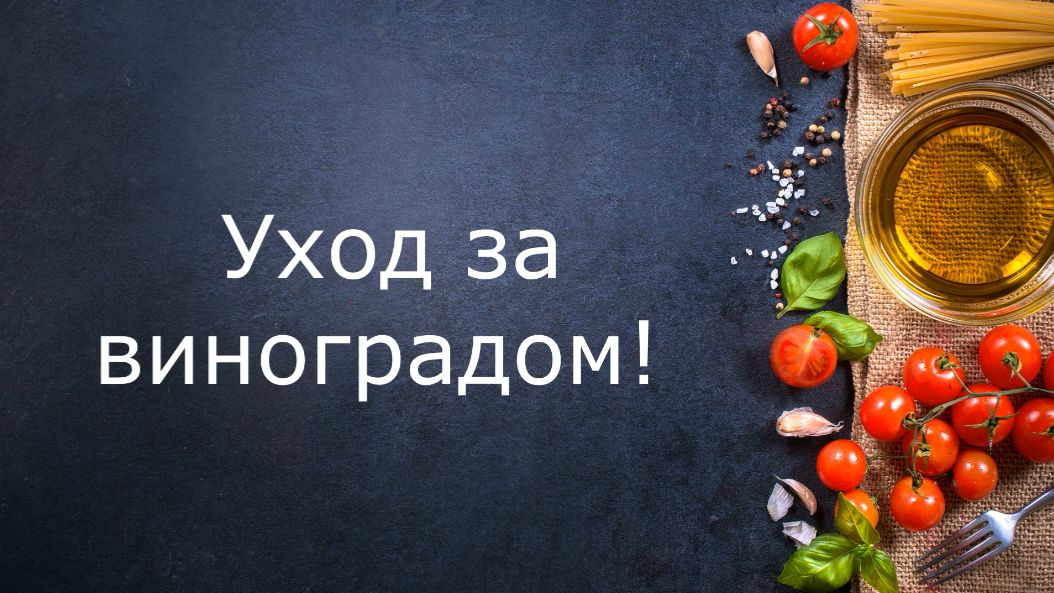Уход за виноградом 🤗