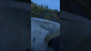 Кататся на телешкк