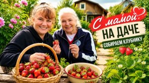 🌸 Присмотрели обновку для дачи! Новый стол, уютные идеи и вкусная клубника