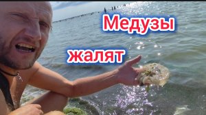 Ейск🏖️/Медузы, Водоросли и Меляки/Море по колено/Есть ли ОТДЫХАЮЩИЕ/БЕНЗИН, очередей НЕТ