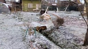 149-.Дача..вода в бочках замёрзла 06.11.22.