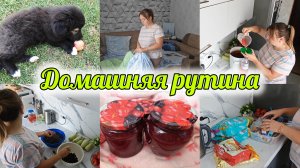 ВЛОГ🌻 ПЕРВАЯ ШКОДА МИШЕЛЬКИ🐕 ДОМАШНИЕ ДЕЛА: ВАРЕНЬЕ НА ЗИМУ🫙 ПЕРЕРАБАТЫВАЮ МЯСО🥩