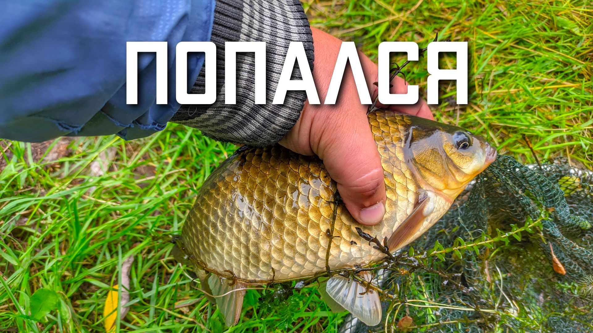 Рыбалка в Подмосковье на карася смотреть онлайн