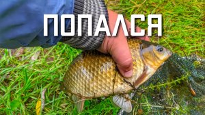 Рыбалка в Подмосковье на карася