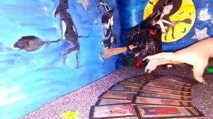 ЕСТЬ У ВАС СОПЕРНИЦА ?