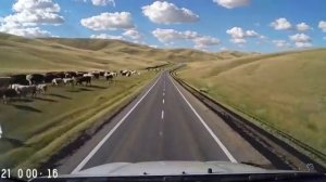 Узбекистан шансон,блатной шансончик на узбекском языке в дорогу.