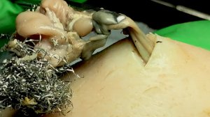 Удовлетворительное очищение лица: успокаивающий уход