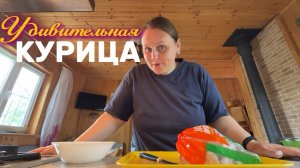 Удивительная курочка
