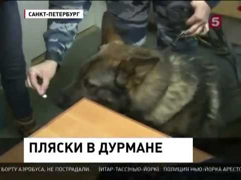 Рейд На Пиратской Станции 2014 смотреть онлайн