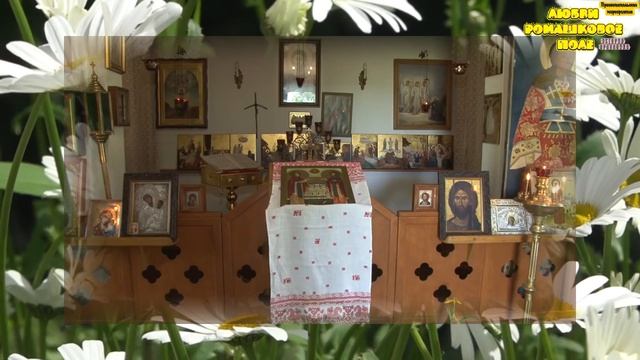 Просветительское мероприятие "Любви ромашковое поле: история праздника" смотреть онлайн