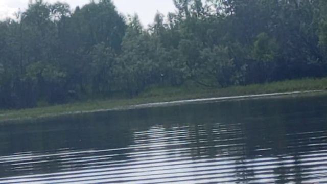 1000017302.mp4 смотреть онлайн