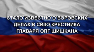 Стало известно о воровских делах в СИЗО крестника главаря ОПГ Шишкана