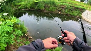 МОРМЫШИНГ в ручье! Сколько рыбы в этой луже? Рыбалка на спиннинг dayo
