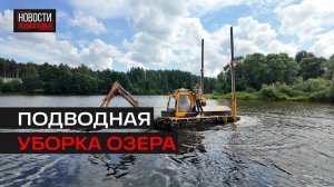 В деревне Чкалово приводят в порядок озеро Токарёвское