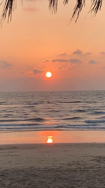 #ШикарныйВид #Калангут #Гоа 🏝️🌅