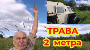 На Вездеходе. Трава 2 метра Высотой