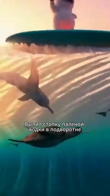 Твист