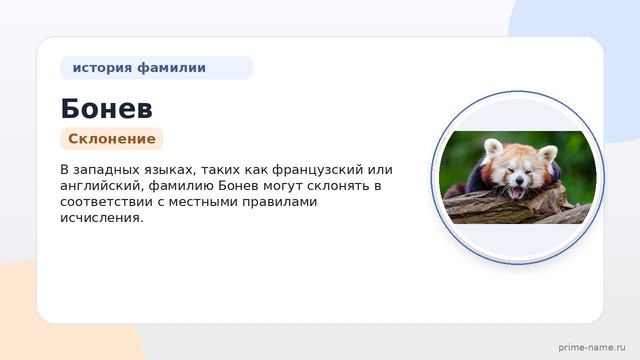 Исследуем происхождение и значение фамилии Бонев: история и склонение смотреть онлайн