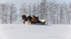 Поёт душа родная - стихи и песня - Виктор Михнев + SUNO