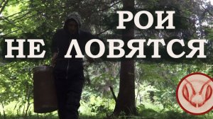 Рои не ловятся