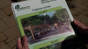 Благоустройство Центрального парка
