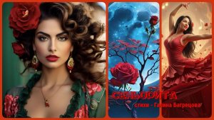 Сеньорита - стихи Галины Багрецовой
