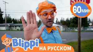 Песня _Стоп... и Вперед!_ _ Обучающие песни для детей _ Blippi Russian